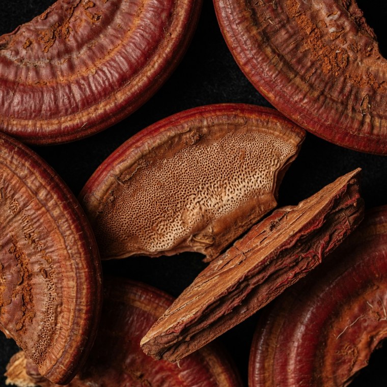 Makroaufnahme getrockneter Reishi-Scheiben